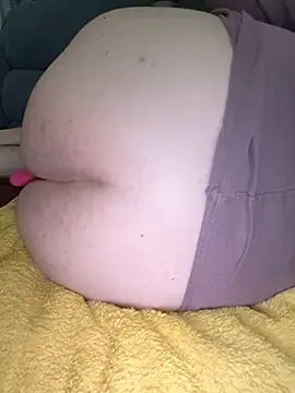 pigboybin Webbikameraesitys