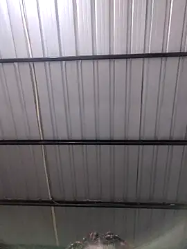 دردشة diablita48 الجنسية المباشرة