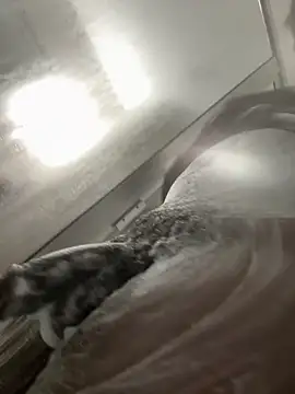 Chatroom XXX en direct de makeherfeelg