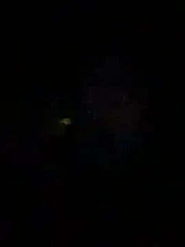 Goddessxxrosexx – Live XXX-chat