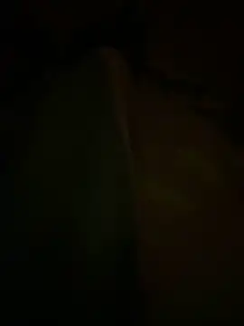 LeBimboのライブXXXチャット