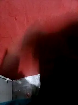 Show de webcam de papi23l