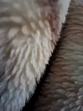 Webkamerová show aman4404