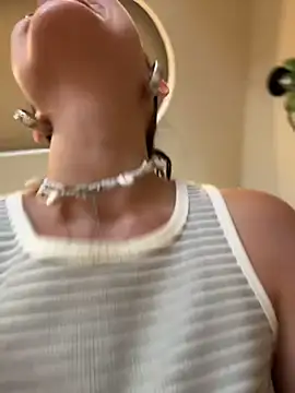 VendiMur Show Webcam