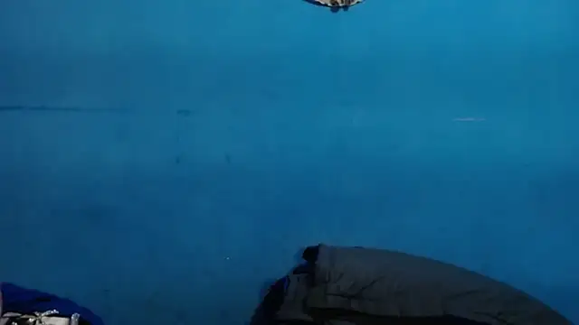 SamiBoobsxx 现场XXX聊天