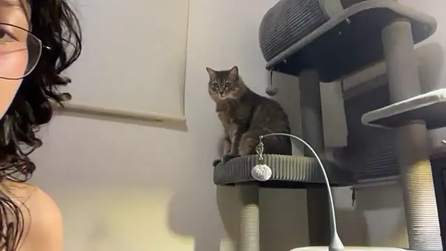 Alicatcua_ 现场XXX聊天