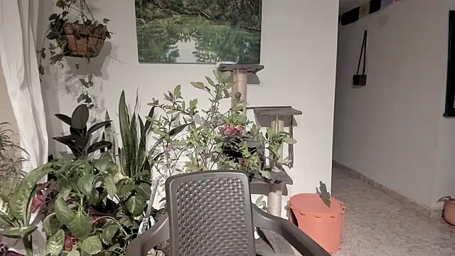 sexnherbs – Naživo XXX chat