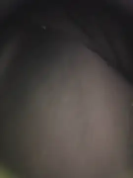 piggylatino Adlı Modelin Canlı XXX Sohbeti