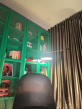 Ginevrafedezのウェブカメラショー