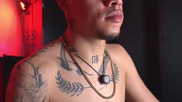 Chatroom XXX en direct de AlphaMasterXxx