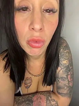 Tanitavipn Webbikameraesitys