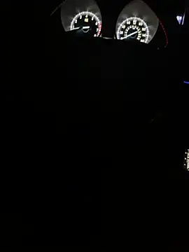 Show webcam de Jancelbig13