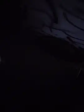 CharlotteKravizz Chat XXX in diretta