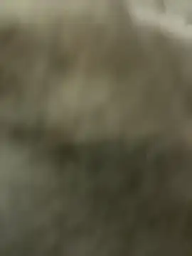 Chat XXX ao vivo de StasyWood