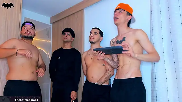 Show webcam de TheBatMansion