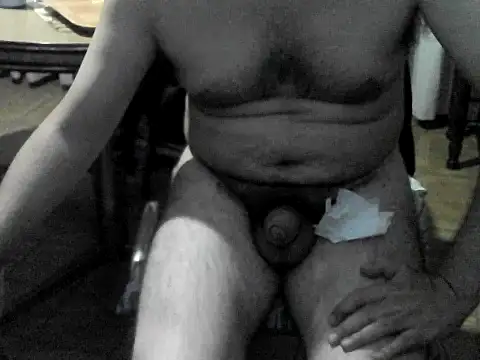 Show de OreCam na webcam