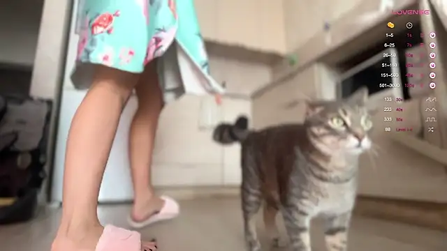 a__enigma 라이브 XXX 채팅