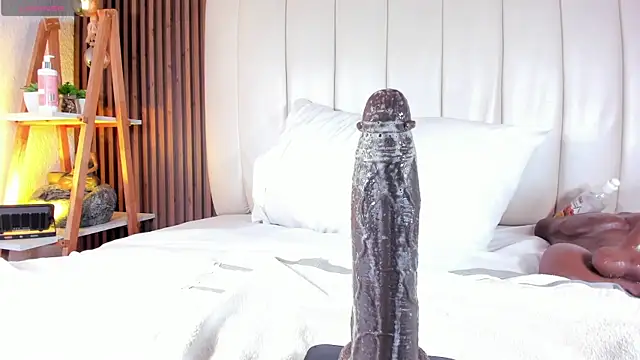 Chat XXX ao vivo de SandraMilerr