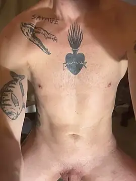 shehandmeのウェブカメラショー