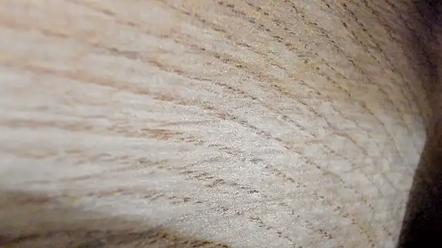 classy_medea – Kamerová šou