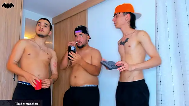 TheBatMansionのウェブカメラショー