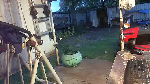 Pokazy przed kamerką – herbie010666