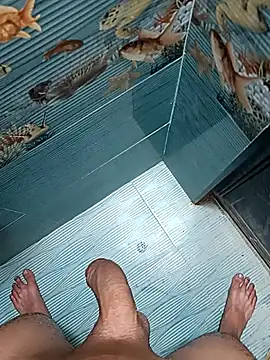 Show de FloweredShallow na webcam