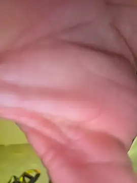 piggylatinoのウェブカメラショー