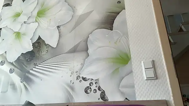 s-te-fan-i Webcamshow