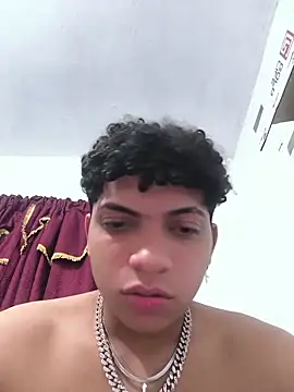 VersedChip Webcam-Show