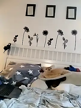 Chat XXX ao vivo de Tigerhill2023