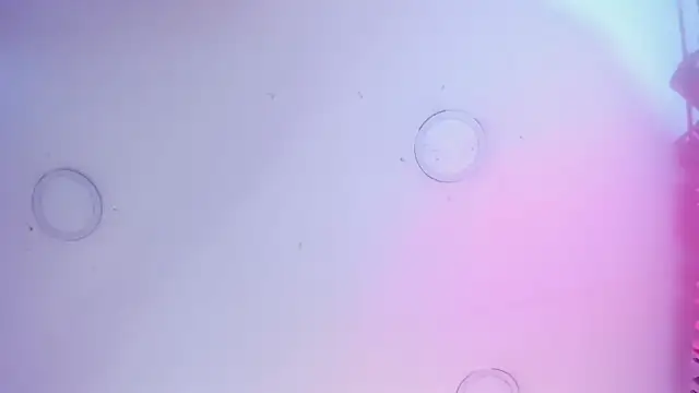 kamylaBm 라이브 XXX 채팅