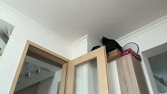 s-te-fan-i Webcam-Show