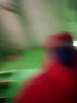 HOT-SEER3 webkamerás műsora