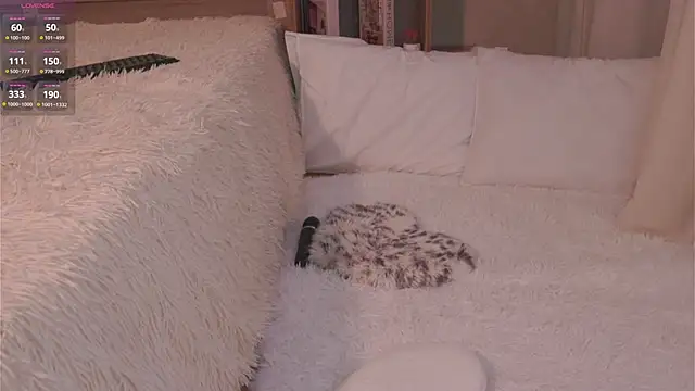 Chat +18 de JodyDownton ao vivo