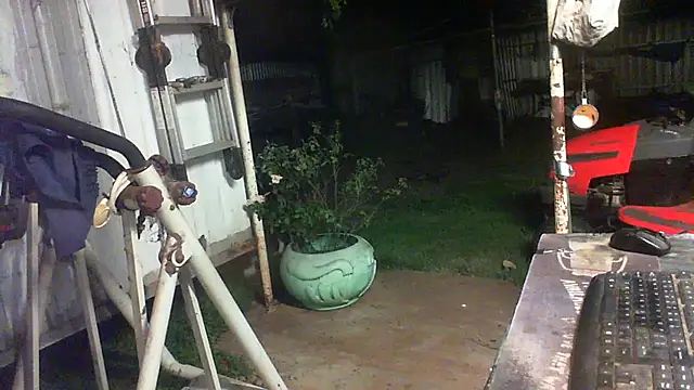 عرض كام herbie010666