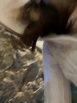 littleqiu 网络视讯表演