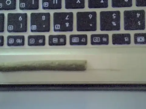 Show webcam de Delicious-D