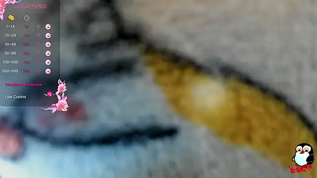 cristal__hot_1 élő XXX-chatje