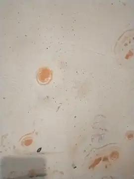 Pertunjukan Kamera Web Sapna_baby1