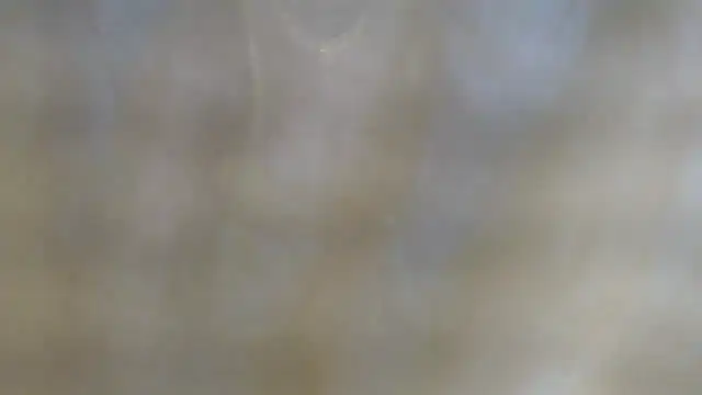 แชท XXX สดของ Sophia_your