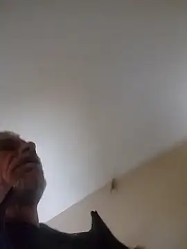 Show webcam de Biknight