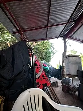 Chat +18 de Brenda_Berck_ ao vivo