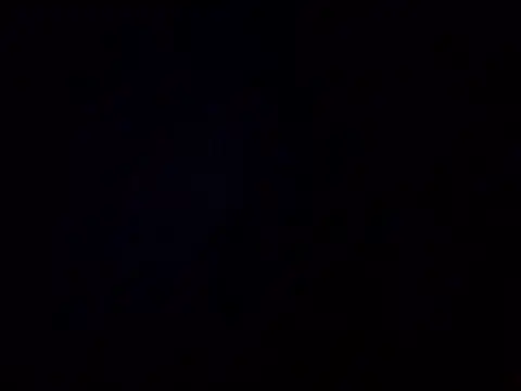 GrowDude webkamerás műsora