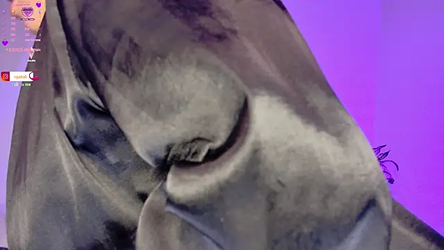 carolgaita লাইভ XXX চ্যাট