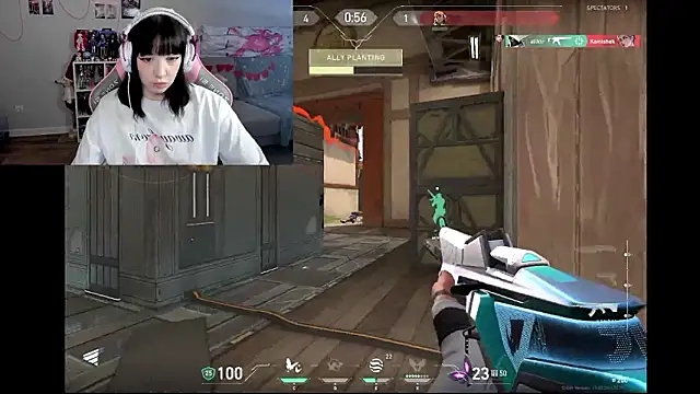 MollysLand 라이브 XXX 채팅