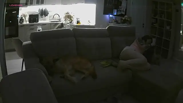 Онлайн чат XXX porrrno_pony