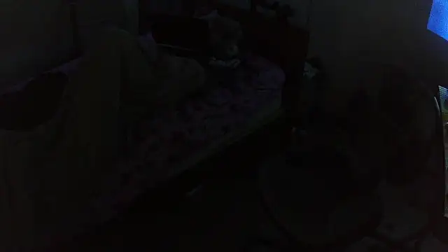 jaxx12369n Live XXX chat