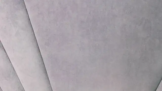 Evelisse's Live XXX Chat