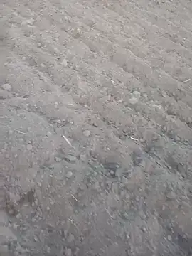 FinableKnee 라이브 XXX 채팅